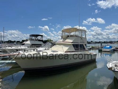 Trojan 36 Convertible scheda tecnica e recensioni